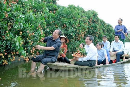 Điều chỉnh Dự án Khu du lịch sinh thái sông Hương để hấp dẫn du khách